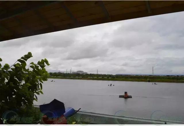 这个英德人轻松年入百万，竟是因为这个！