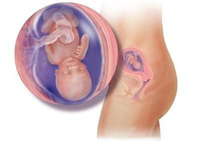 惊奇宝宝第一季,怀孕过程中的十大惊奇发现