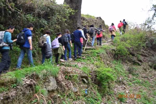 稻草人旅行有什么特色,稻草人旅行沙漠
