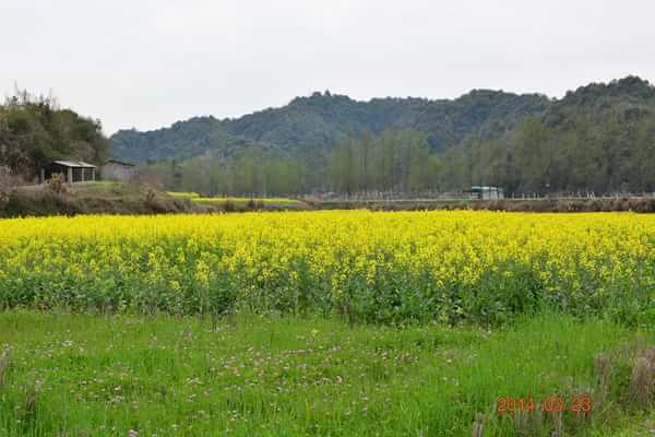 稻草人旅行有什么特色,稻草人旅行沙漠