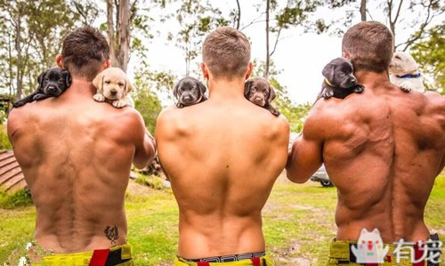 搜救犬看见消防员抱着小奶狗 (消防员训练发现小奶狗)