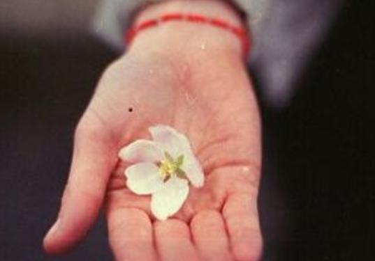 女人四个部位长痣一生富贵,相学中女人眼下长黑痣解法