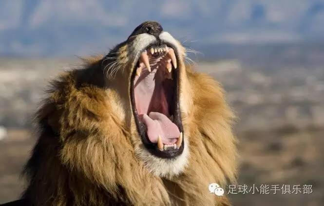 西甲球队巡礼,西甲新赛季分析