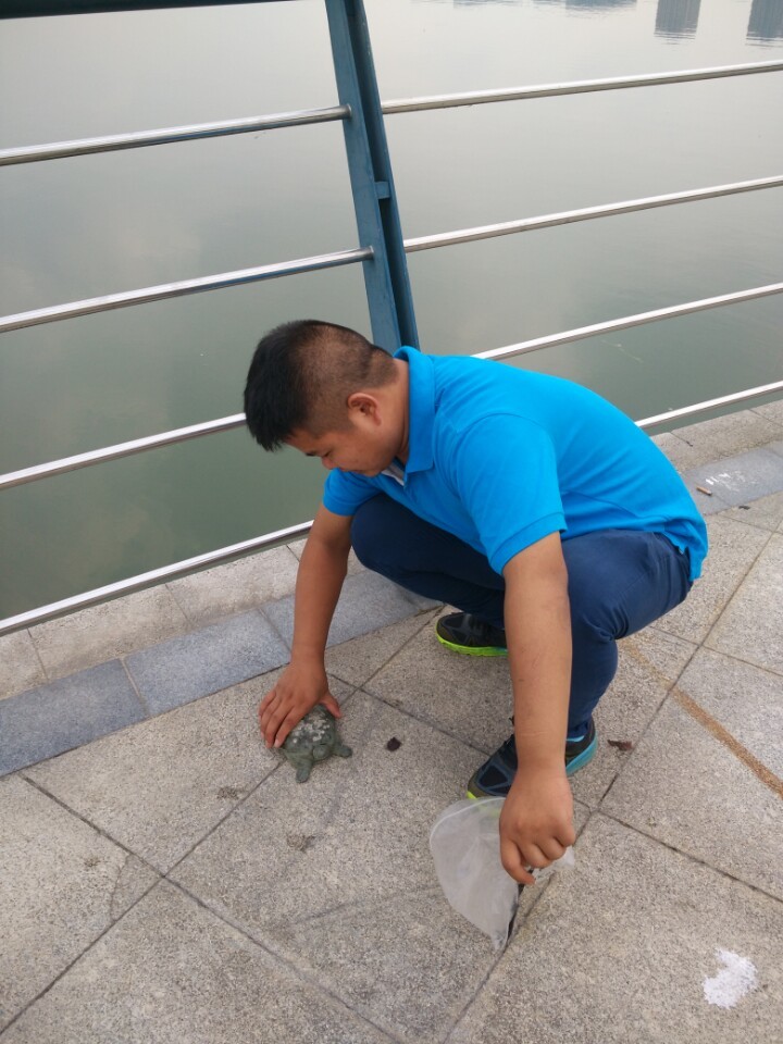 钓了一只鳖要放生吗,钓了一只野生甲鱼