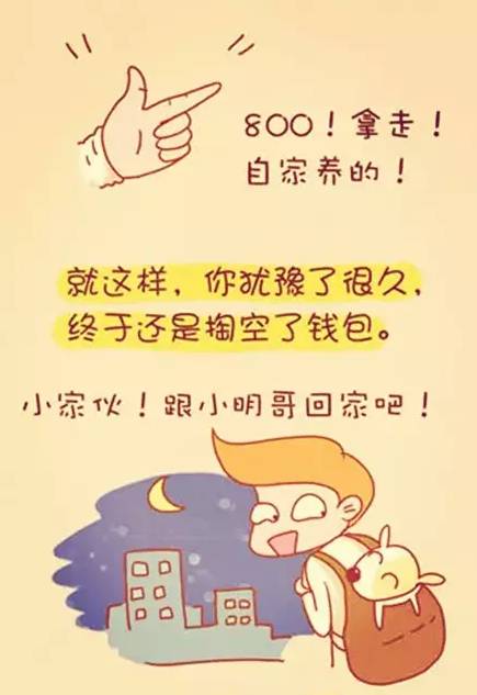 陪伴是最长情的告白你同意吗,陪伴是最长情的告白请勿连赞