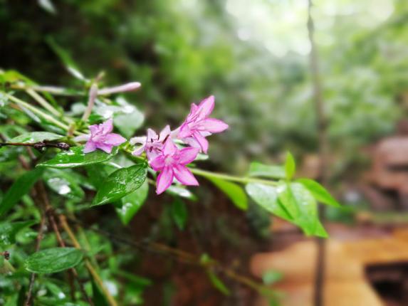荣耀8评测,荣耀note8评测