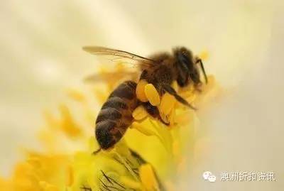 HealthyCareTOP10,做好功课接着败