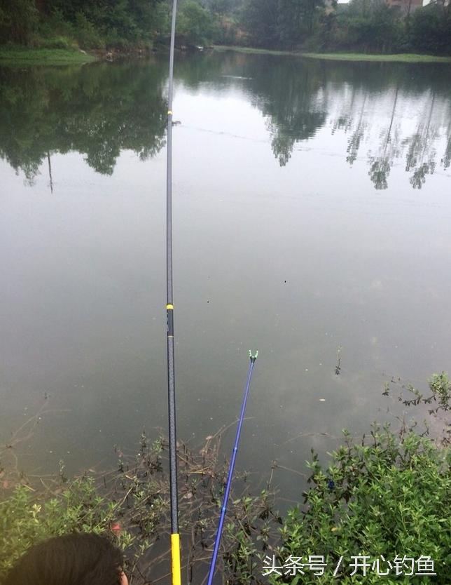 老鬼鱼饵料钓鳊鱼,老鬼专钓鳊鱼饵料配方
