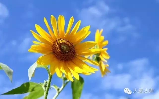 受到了伤害该怎么面对,被父母伤害要怎么对待他们