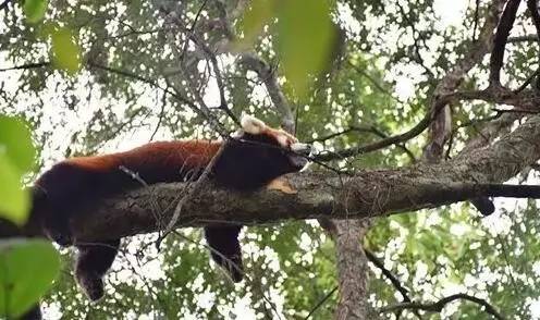 宜家家居最新事件,宜家最新发生的事情