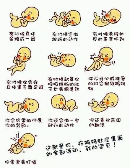 怀孕多少周胎动从肚子上能看见,怀孕三十三周如何数胎动
