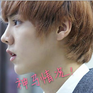 里约博尔特和北京博尔特,里约博尔特