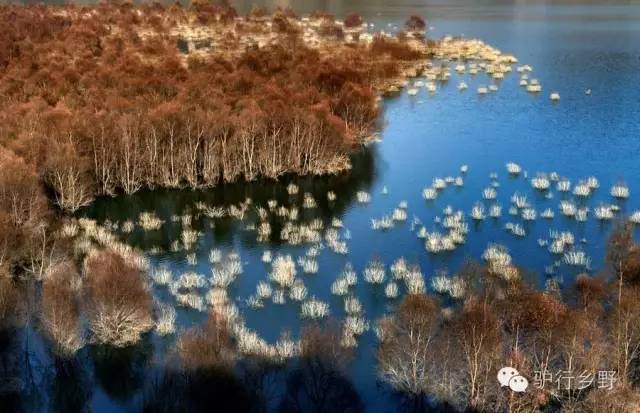 琛屾憚姹変腑,琛屾憚闄曡タ