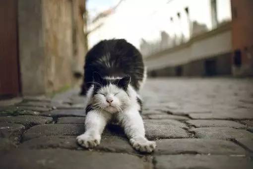 吹空调左肩膀疼痛是什么原因,肩膀吹空调受凉疼痛怎么办