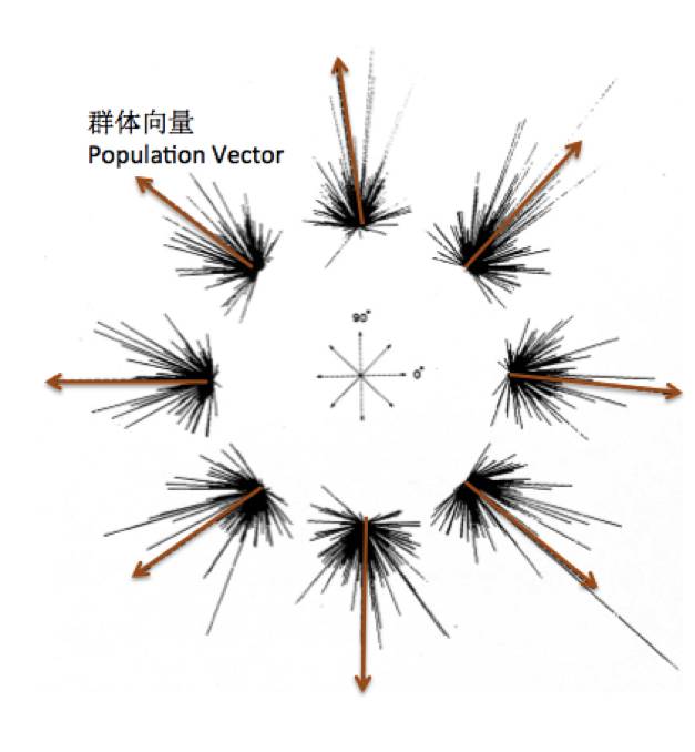 霍金脑机接口原理,从霍金到爱因斯坦的宇宙视频