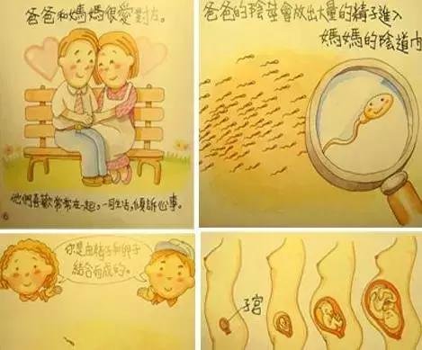 孩子的性教育应该及早进行，孩子是从哪个方面认识的？