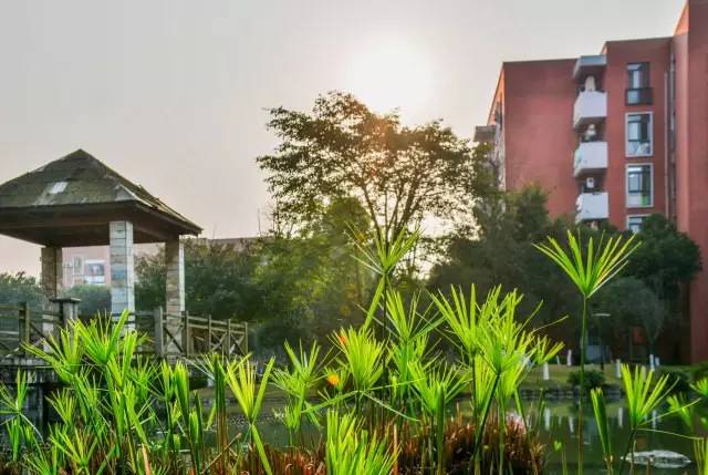 西南大学绝美风景,薇视觉