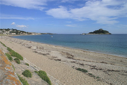 海边发现诡异的巨型鱼,史上最奇怪的异形蛋