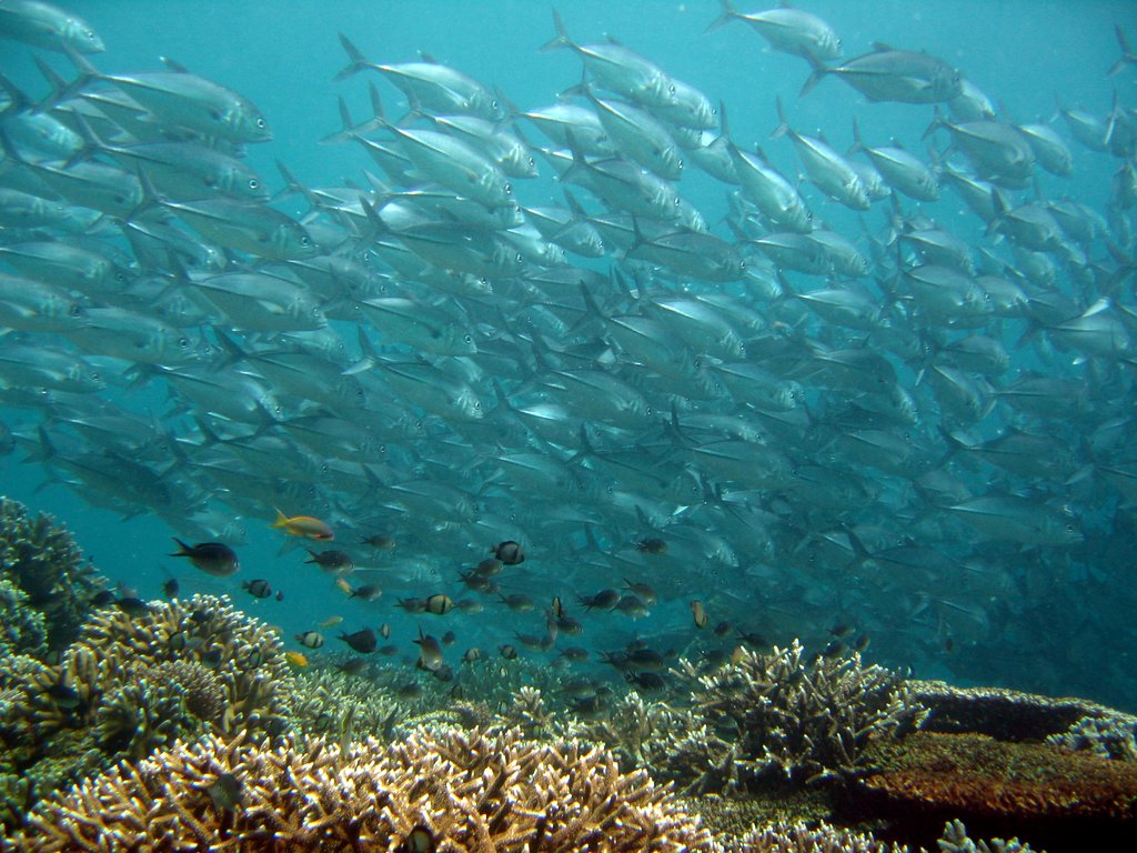 走近美国（一）亚拉巴马州的过去和今天