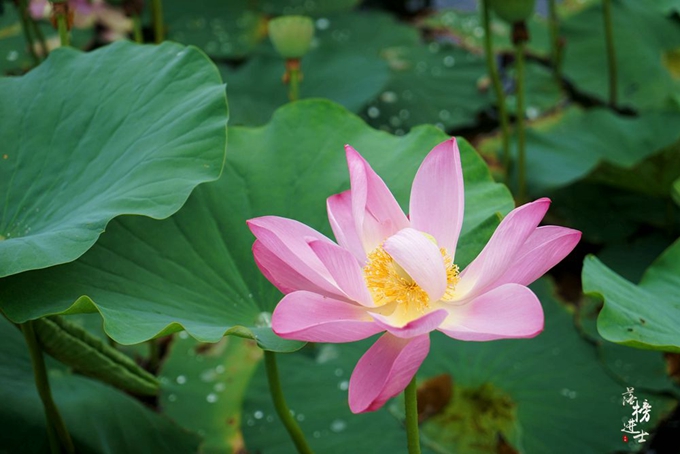 在我国东北,隐藏了一处俄罗斯早已消逝的建筑群!