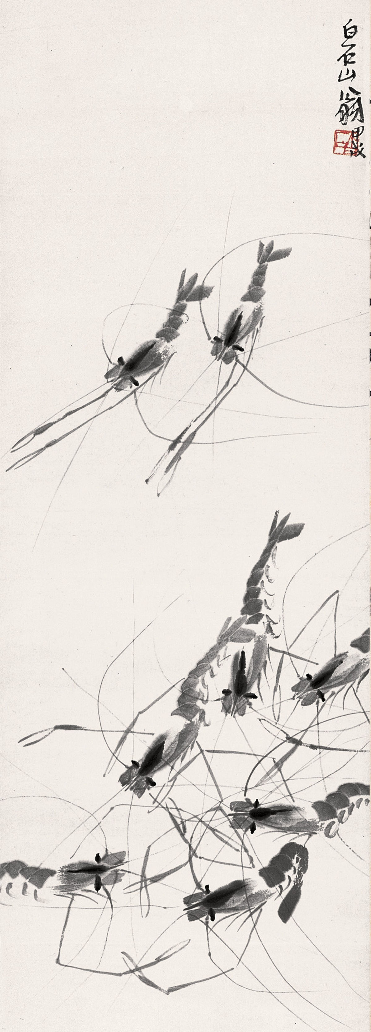 齐白石墨虾欣赏视频,齐白石墨虾完整图