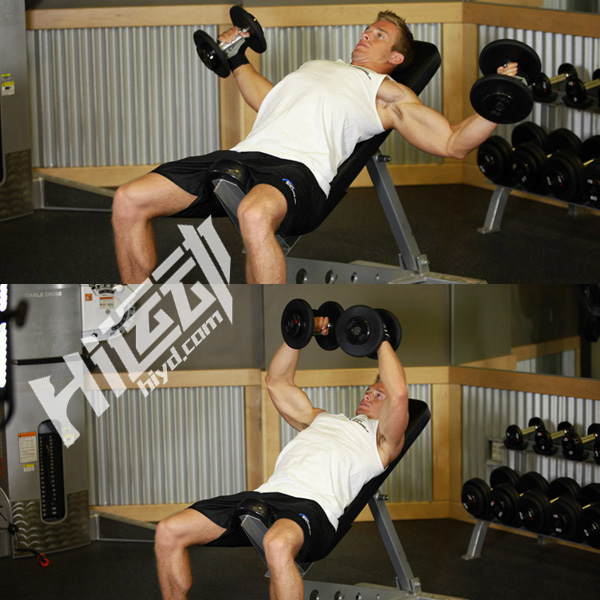 弹力绳练胸肌和哑铃练胸肌,徒手练胸肌好还是哑铃练胸肌好