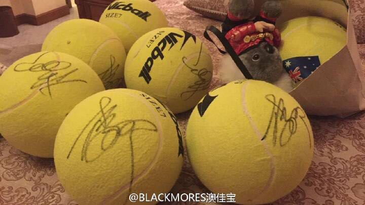 网坛一姐李娜,网坛一姐李娜的纪录片