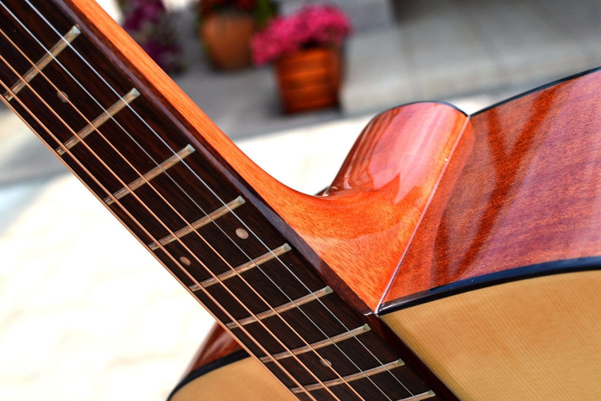 有声有色，久弹不累：乐果D10，吉他初学者的明智之选