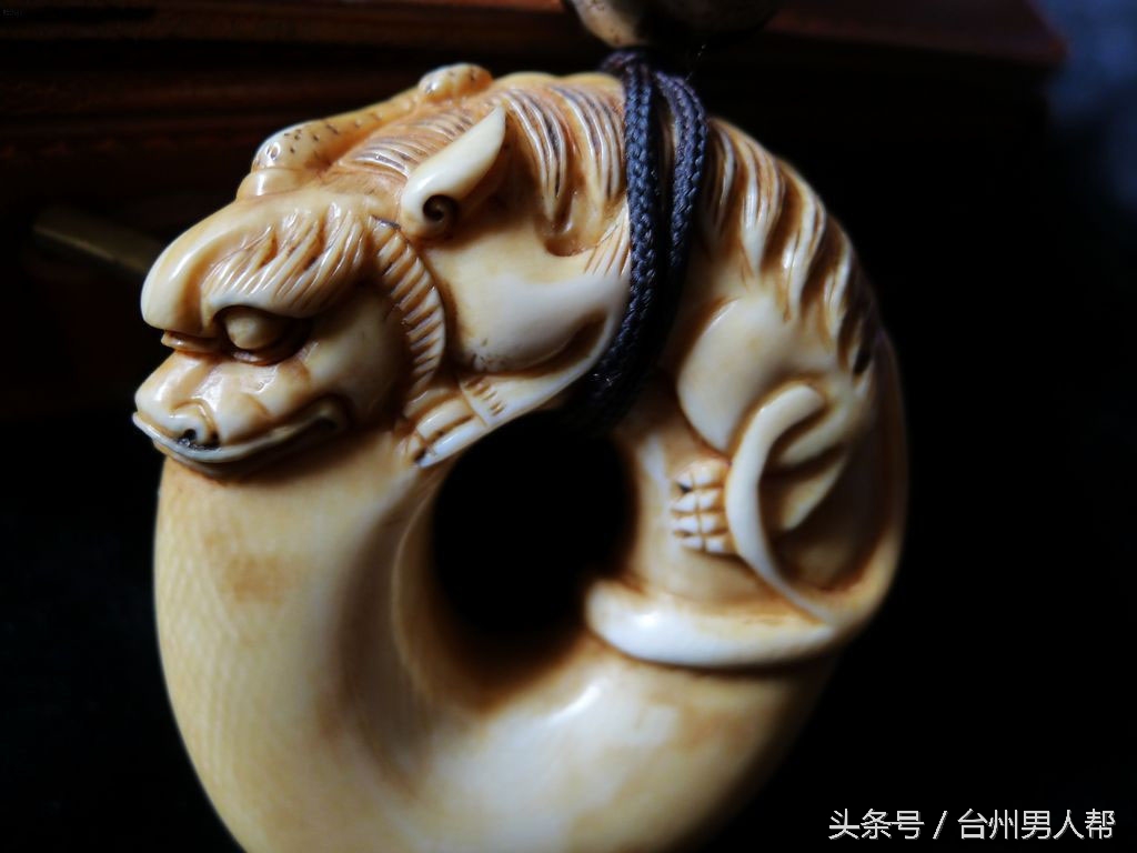 冰封数万年的猛犸象,藏传老猛犸象牙