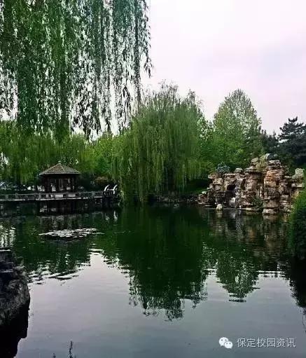 保定夏季“9所”最美大学校园