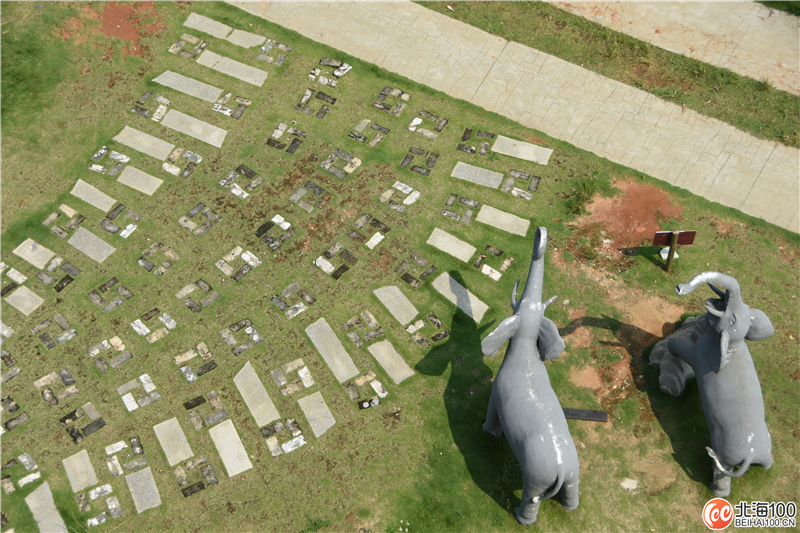 周末去哪儿玩？小编带你去合浦七里香茶庄园和石康镇“小村故事”