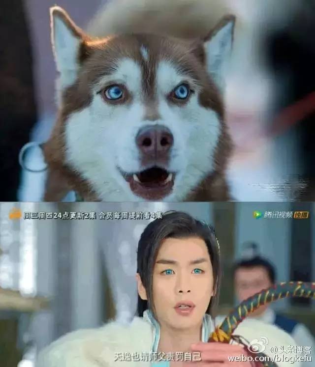 选片不好看可以补拍吗,彩片好不好