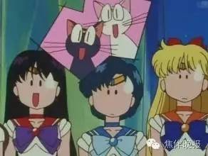 求职招聘寻人寻物,招领启事与寻物启事