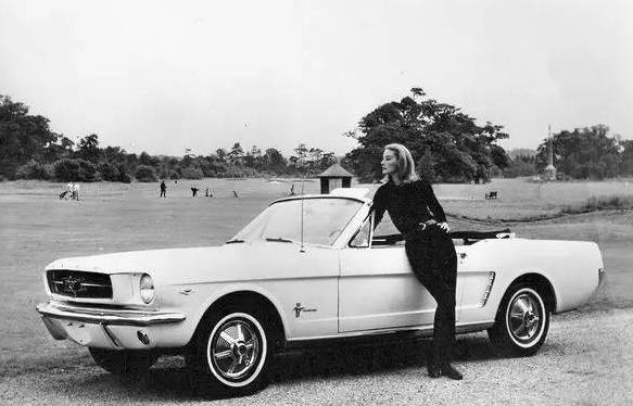 夏威夷旅游要租车吗,夏威夷要租车吗