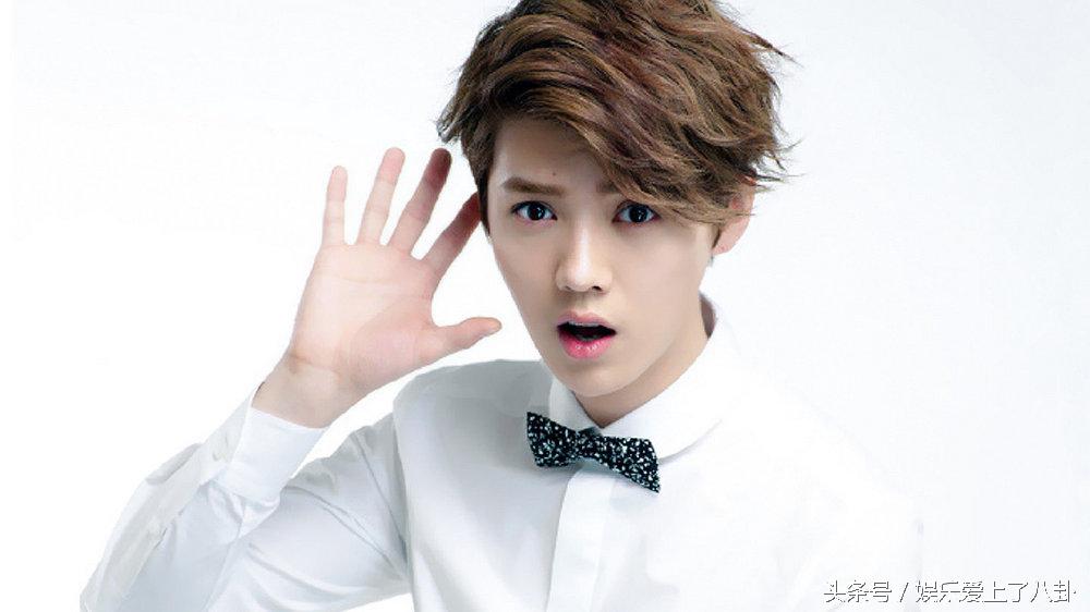 鹿晗和张继科的关系,张继科肖战鹿晗