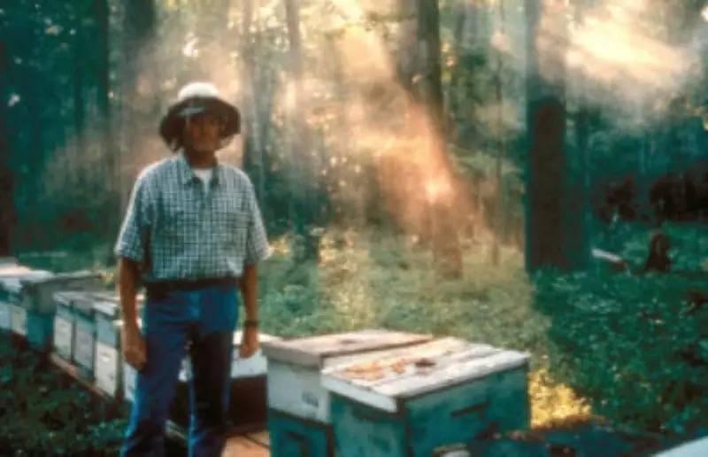 老中医蜂蜜系列,老中医生姜蜂蜜