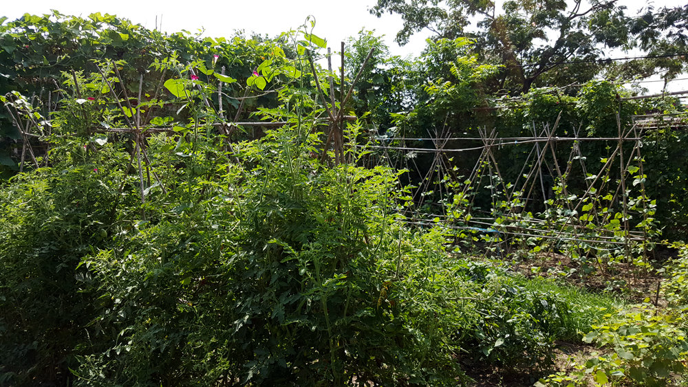 乐亭碧海渔家,乐亭碧海渔家怎么样