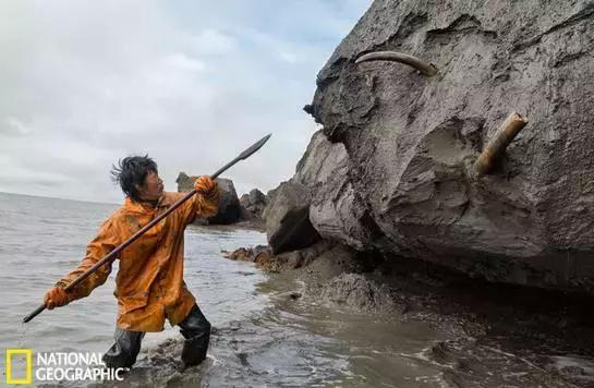 西伯利亚冻土层猛犸象牙 (西伯利亚的猛犸象牙猎人)