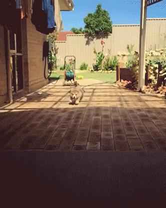 城会玩！开着汽车踢足球，用挖掘机当守门员