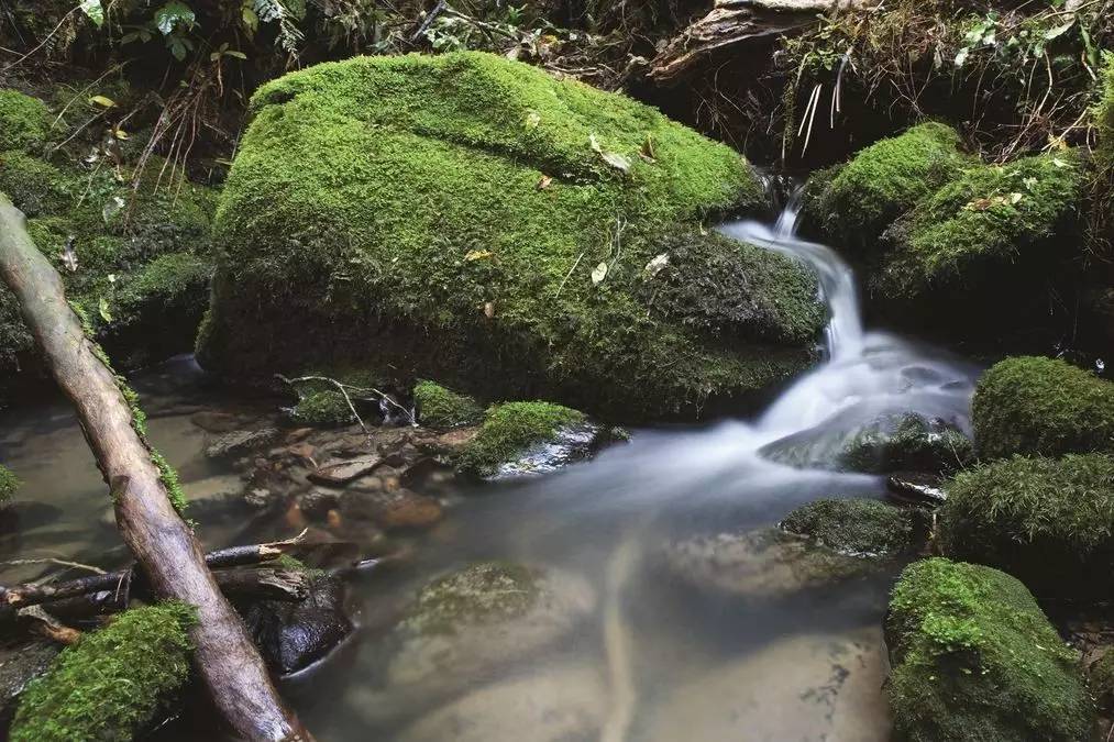 老中医蜂蜜系列,老中医秘制蜂蜜