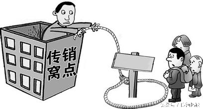 我的第一个传销女伴