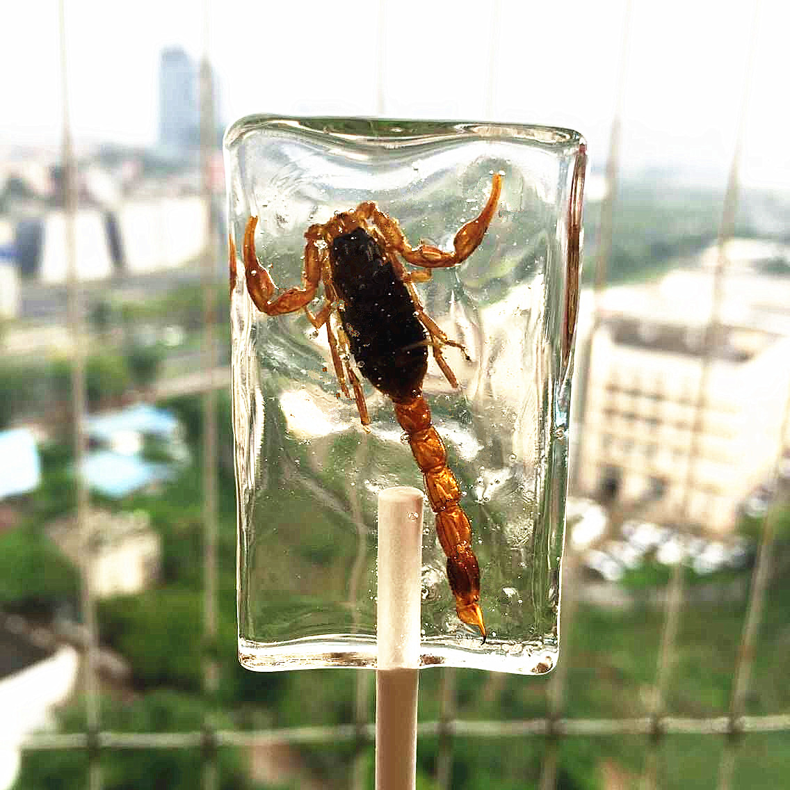 某宝上的那些奇葩商品,某宝买到恶劣产品怎么办