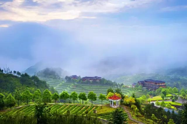 中国茶都安溪分布图,安溪中国茶都俯瞰图