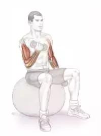 足球运动的专项体能训练,足球运动应注意哪些事项