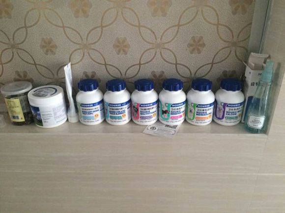 喝个酸奶都能踩空摔倒的笨狗，吃的比我都好！