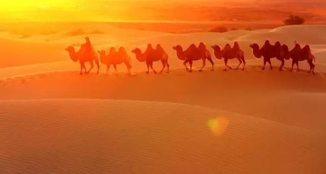 四年级上学期古诗词大全必背,开学了的古诗