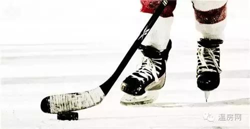 温哥华是什么样子,温哥华是个什么样的国家