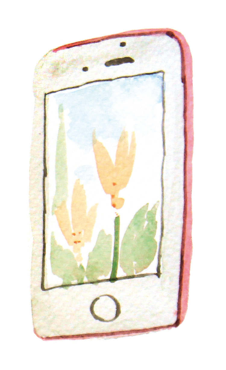 光影旅行摄影图片,光影旅行随拍