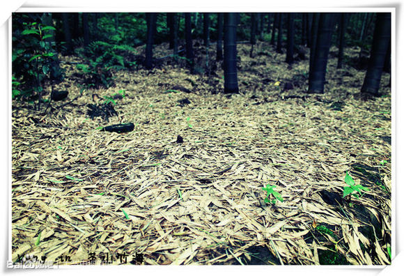 现在的古装剧都在哪里取景的,古装剧拍摄旅游地