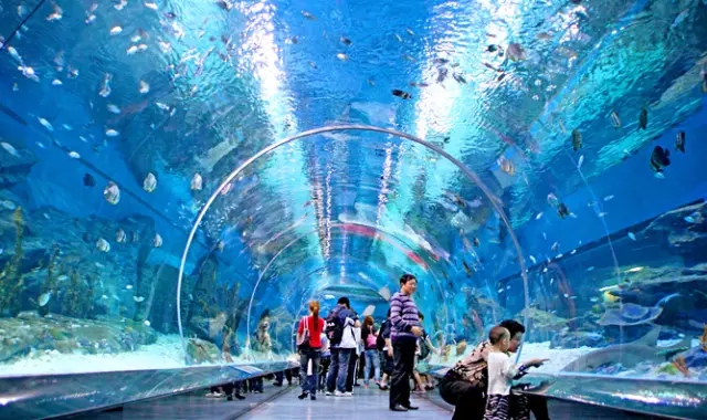 重庆游乐园主题集市,重庆周边游乐园